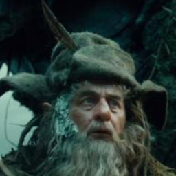 Radagast's avatar